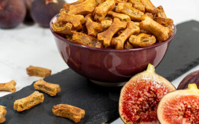Knusprige Leckerli mit Zucchini & Feigen